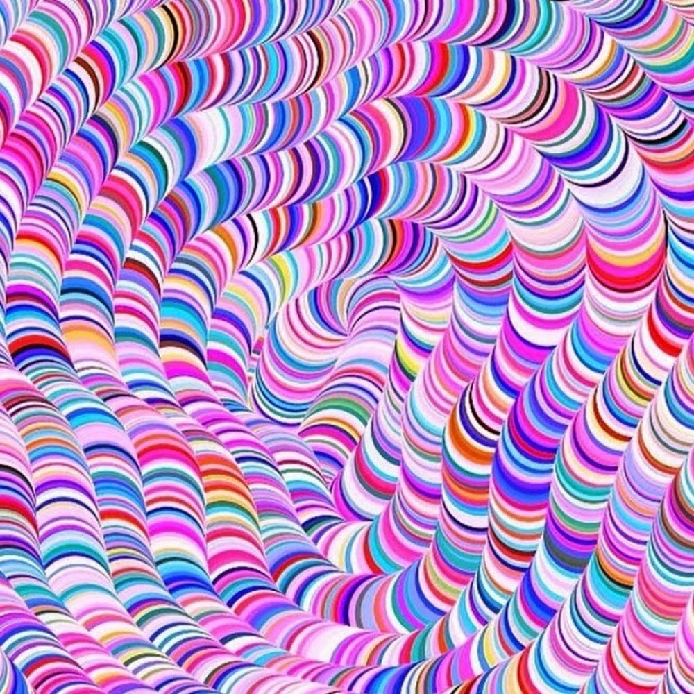 Meet your Posher, Erik